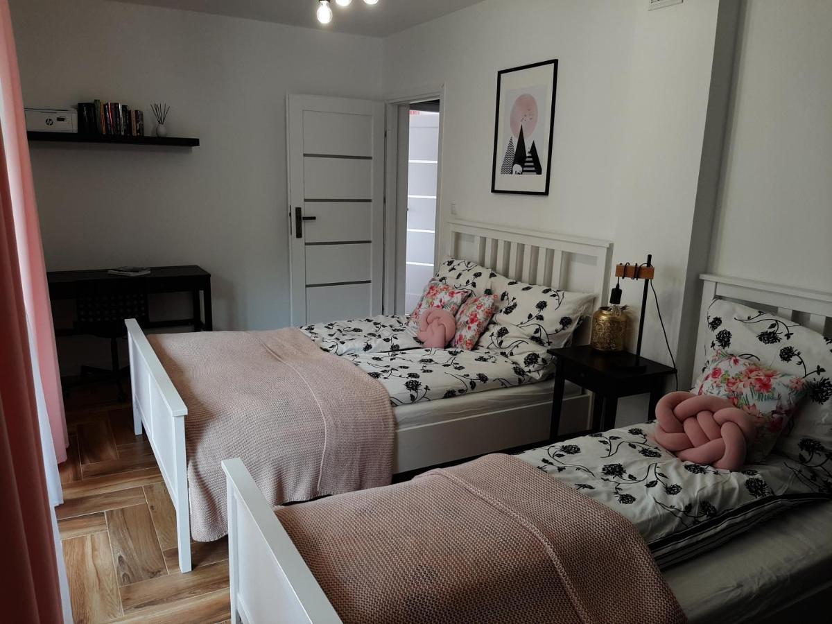 Apartament Gaia 考斯赛力克 外观 照片