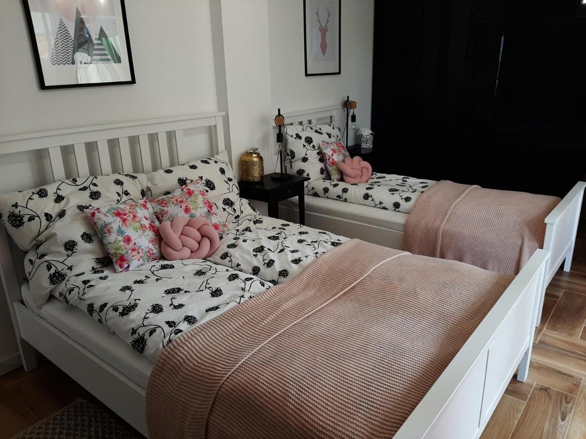 Apartament Gaia 考斯赛力克 外观 照片